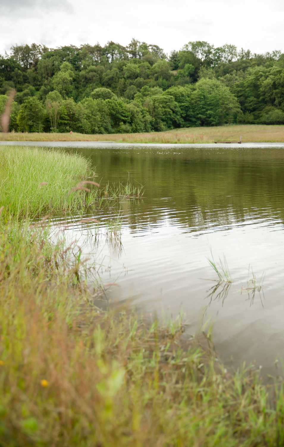 Newly created large pond. Credit Charlie Fox.